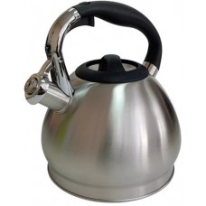 Чайник со свистком AST-1072 (нжс) 3.5л
