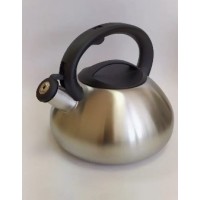 Чайник со свистком AST-1005 (нжс) 3.0л