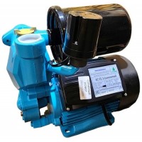 Насос WZ 370. 2л ( комплектный) GREENPUMP. 220V