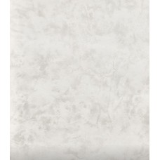 Обои бумаж. 24ДН1 ФЛАУВЕРС ФОН 12 10.05*0.53м