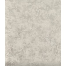 Обои бумаж. 24ДН1 ФЛАУВЕРС ФОН 62 10.05*0.53м