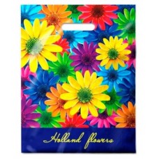 Пакет вырубной 31*40*60мкн в ас-те