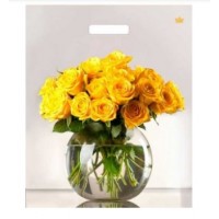 Мешок вырубной 450х380х0.060 Восхищение