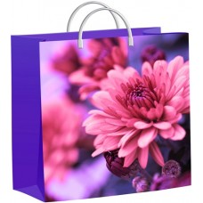 Пакет петлевой 400*360*0.037