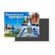Магнит закатной М024 90*65мм