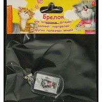 Брелок акриловый БА