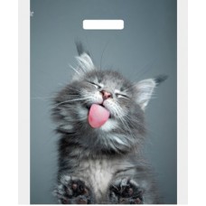 Пакет п/э с вырубной ручкой КОТ 450*380*0.06мкн