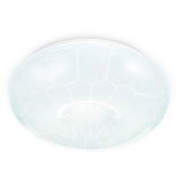 Ambrella FZ1088 WH белый 16W 6400K D260*85 (Без ПДУ) Потолочный светодиодный светильник